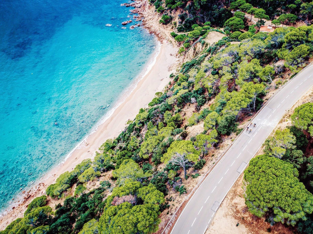 Catalonia Bike Tours景点图片