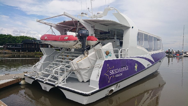 Skedaddle-凯恩斯必去景点