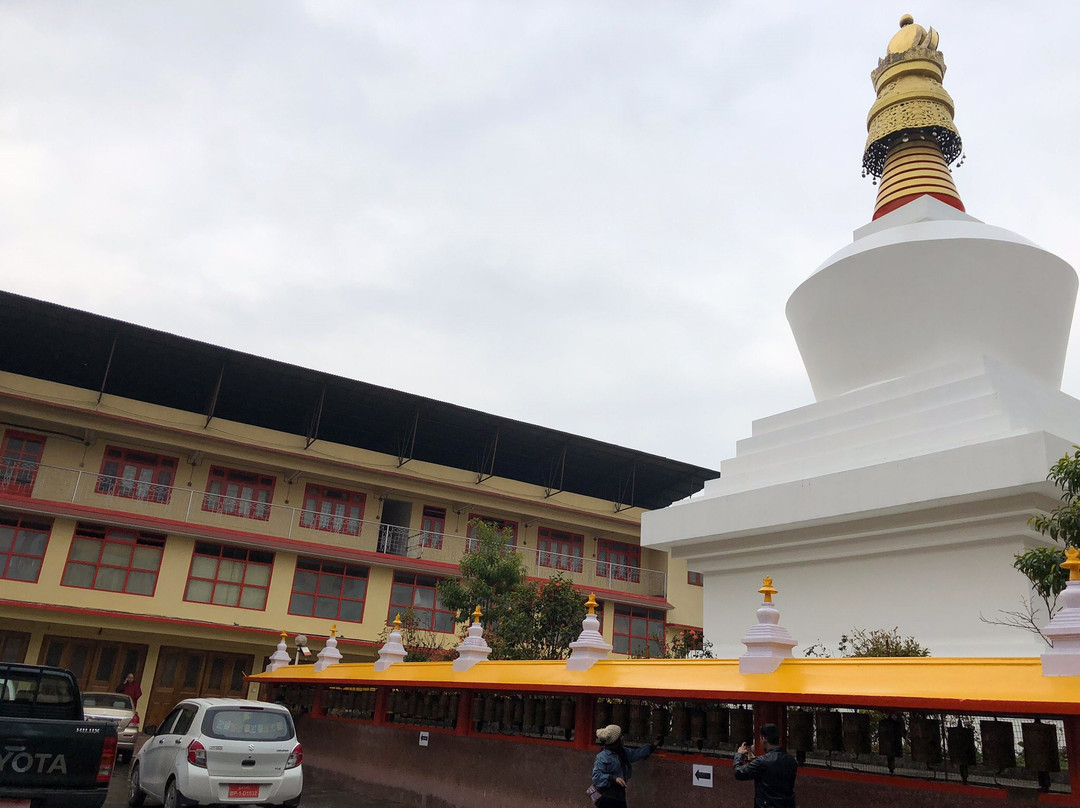 Do Drul Chorten Stupa景点图片