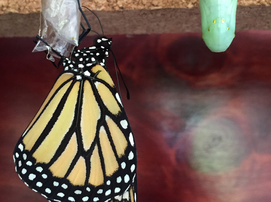 Casa Alegría-Canaan必去景点