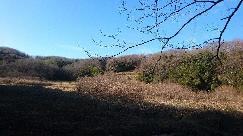 Machida City Nodatsu Park-町田市必去景点