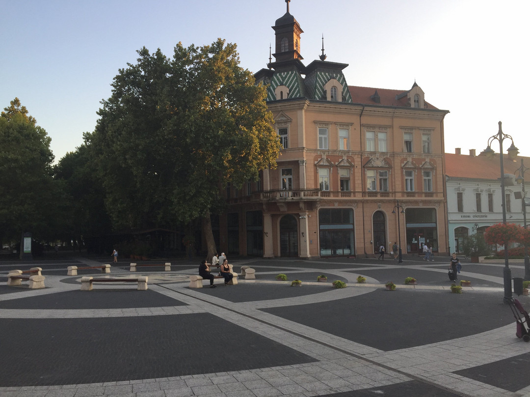 Kaposvar Plaza景点图片