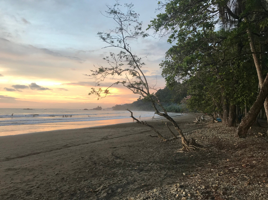 Dominicalito Beach景点图片