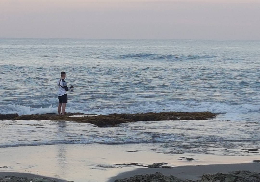 Sebay Surf Central主图