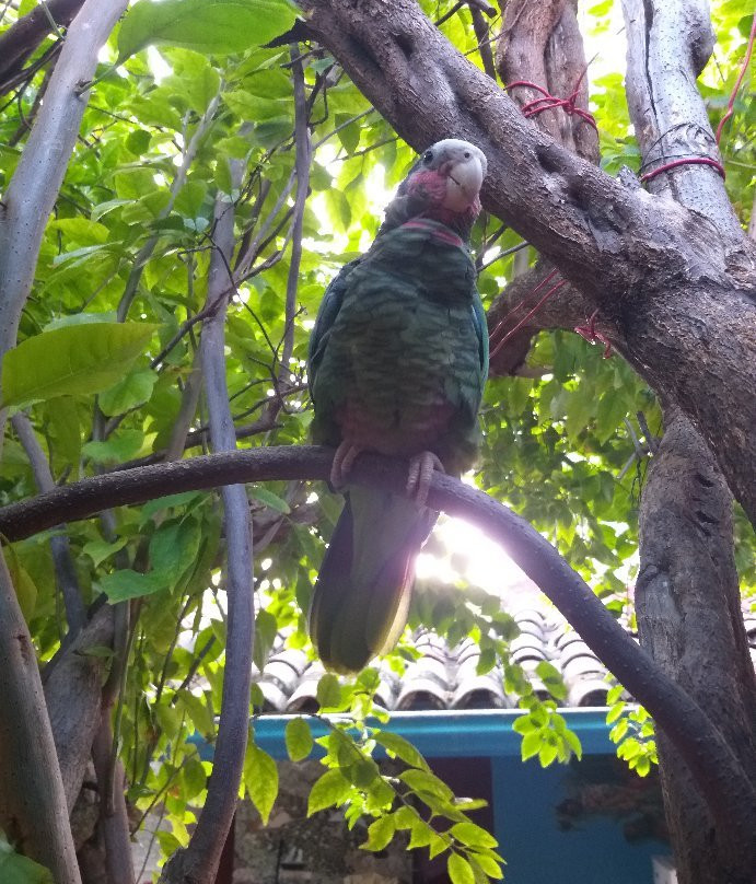 La Casa de Los Amigos主图