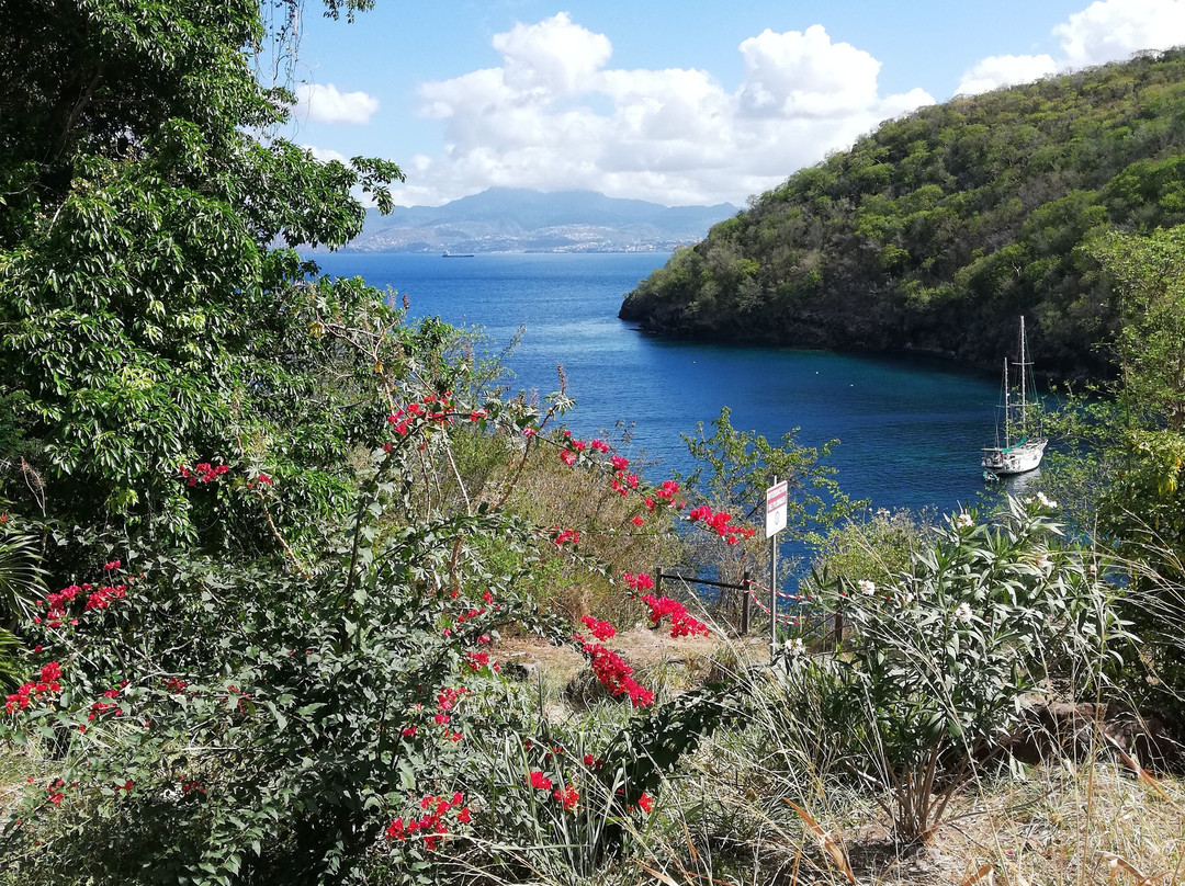 Pointe du Bout Beach-Trois-Ilets必去景点