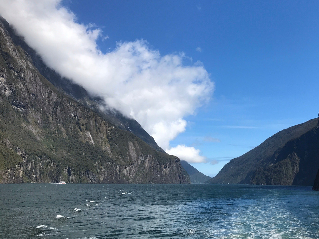 Milford Sound Fly - Cruise - Fly景点图片