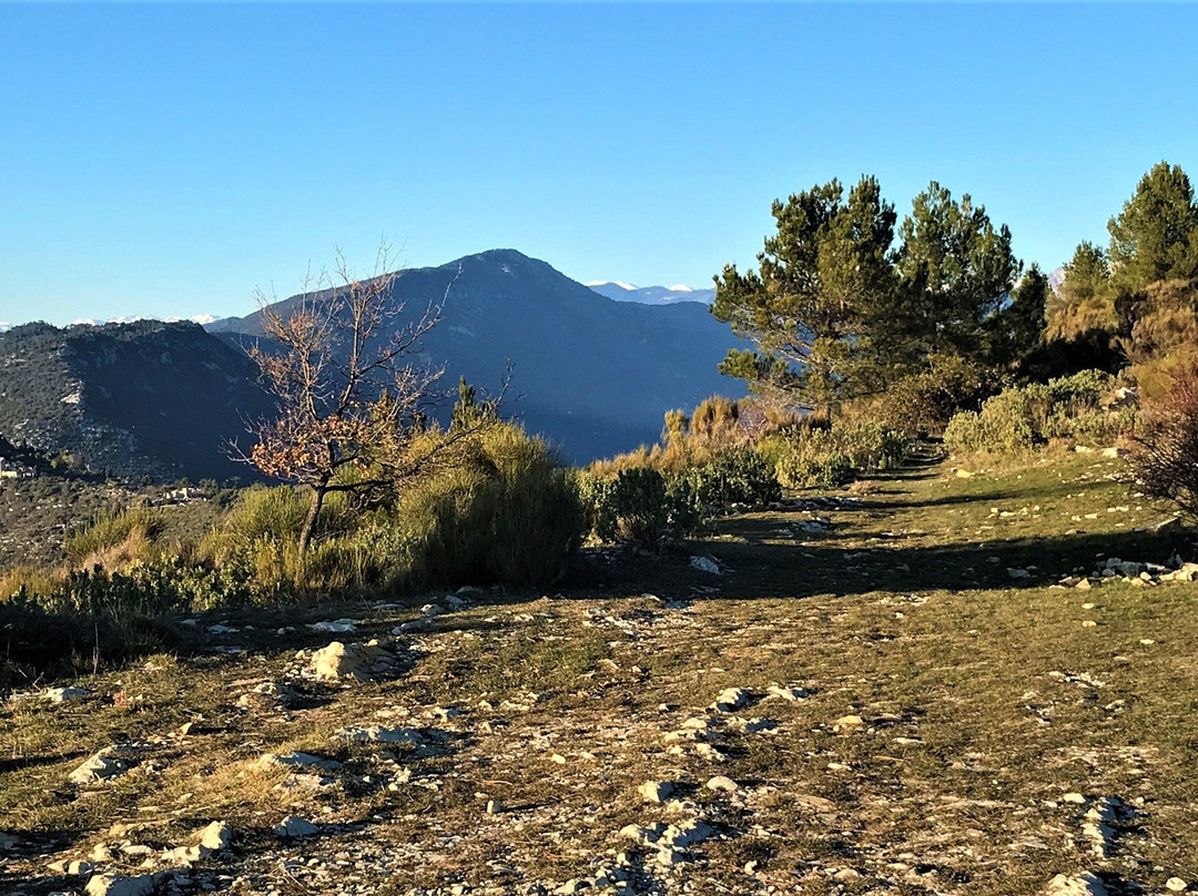 Ruines de Chateauneuf Villevieille景点图片