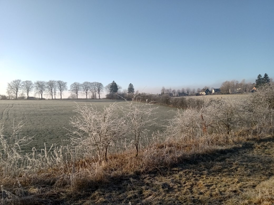Lake of Bütgenbach-Butgenbach必去景点