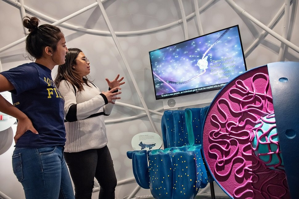 University of Michigan Museum of Natural History-安娜堡必去景点