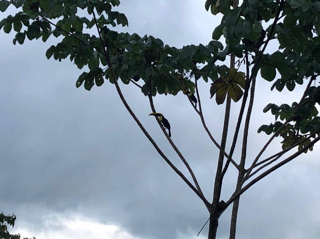 奥萨凉亭山林小屋主图