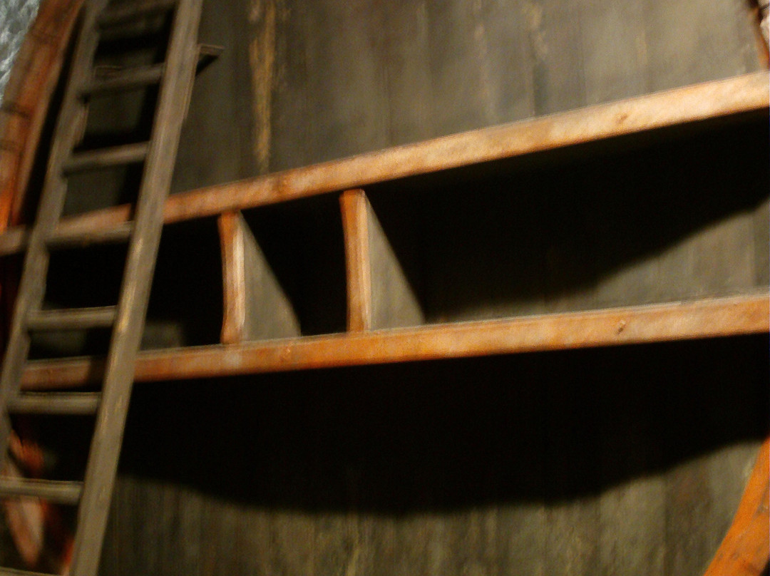 MUVIS - Museo del Vino-Castiglione in Teverina必去景点