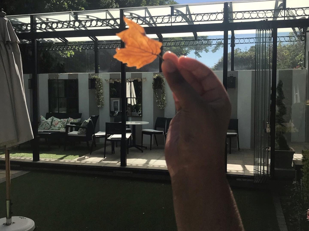 Roodenburg House主图