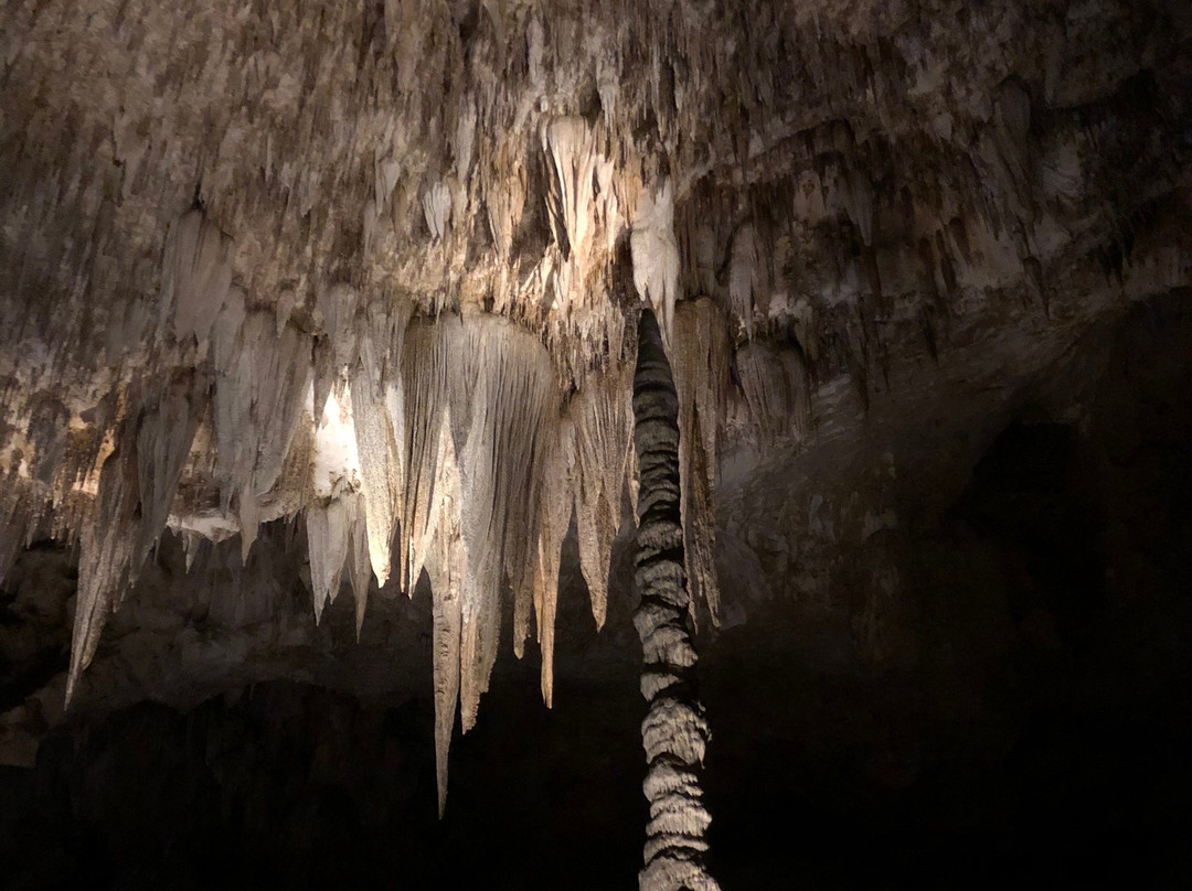 Giant Dome-卡尔斯巴德洞穴国家公园必去景点