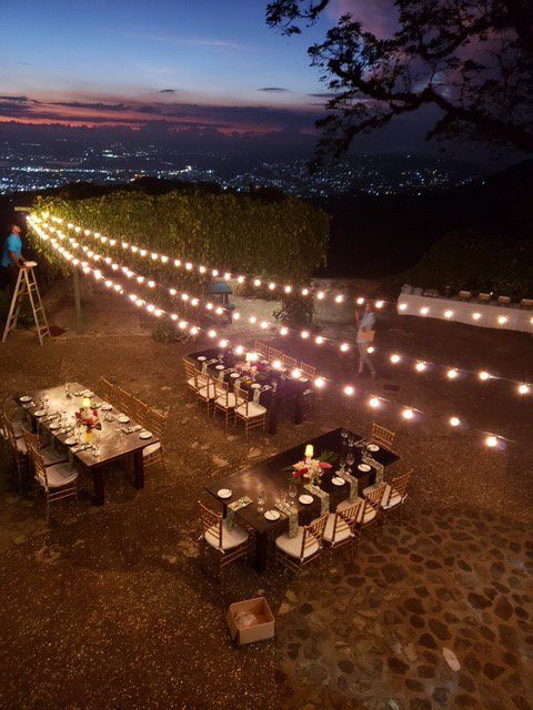 Strawberry Hill主图