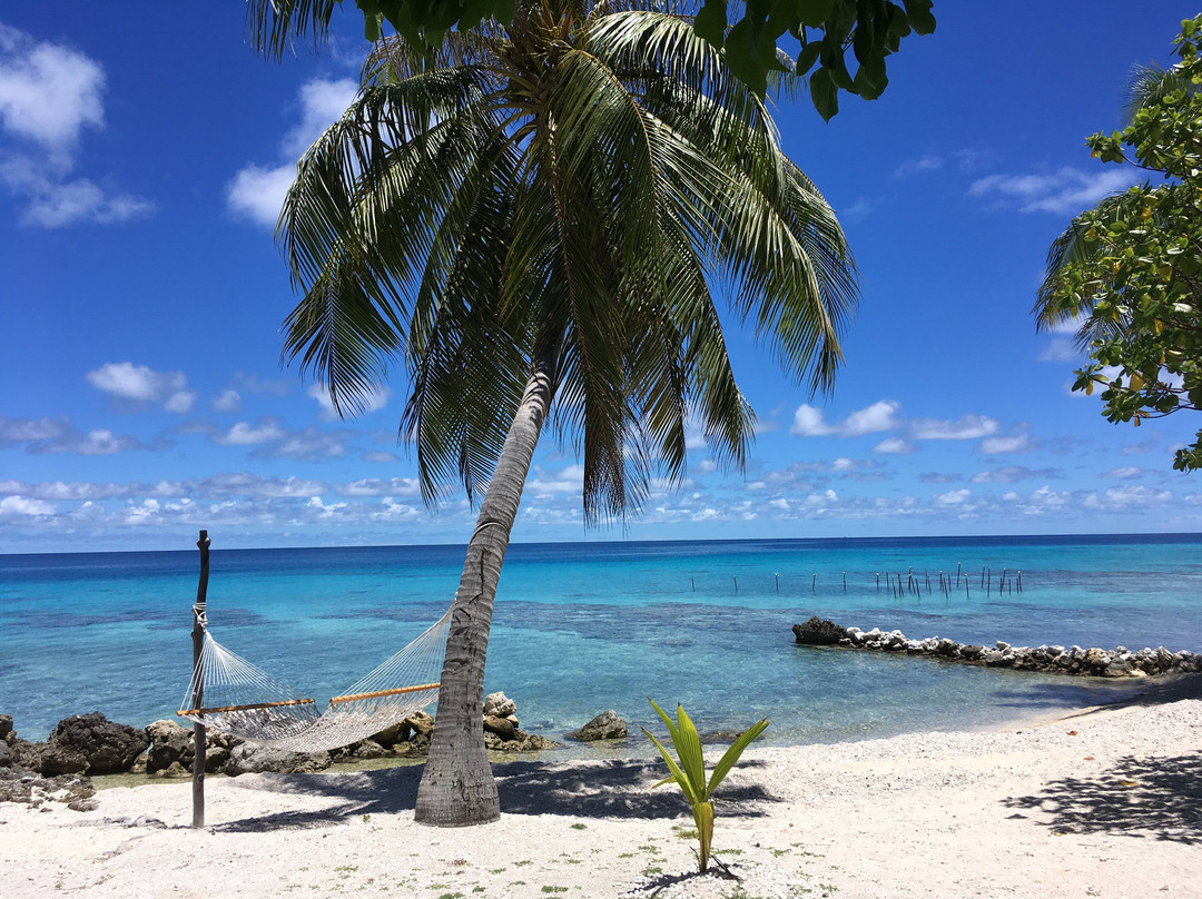 Le Coconut Lodge主图