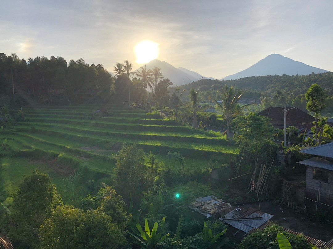 Candra Cottage主图