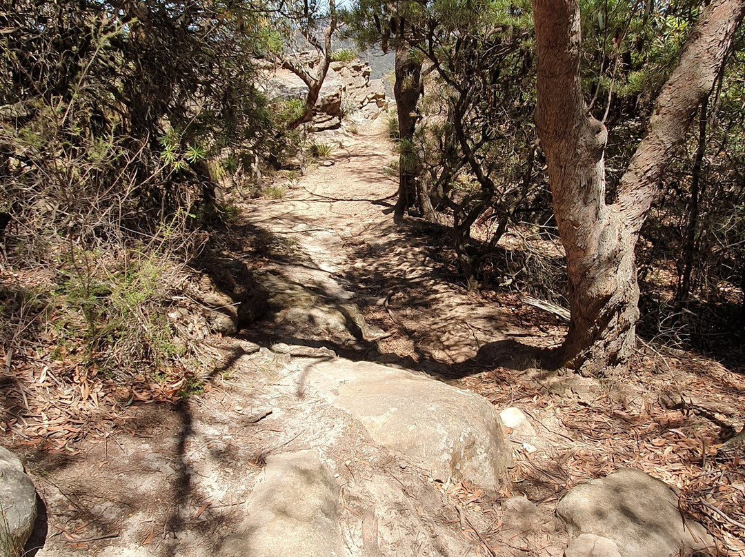 Sunset Rock Lookout景点图片