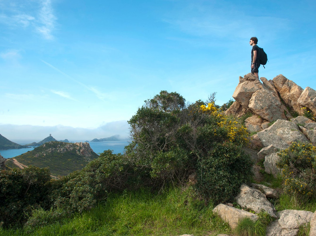 Office De Tourisme Du Pays D'ajaccio景点图片