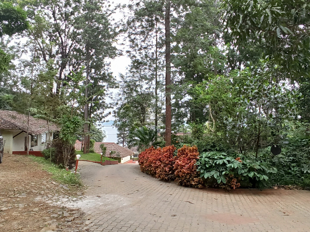 Coorg Lagoon Backwater Stay主图