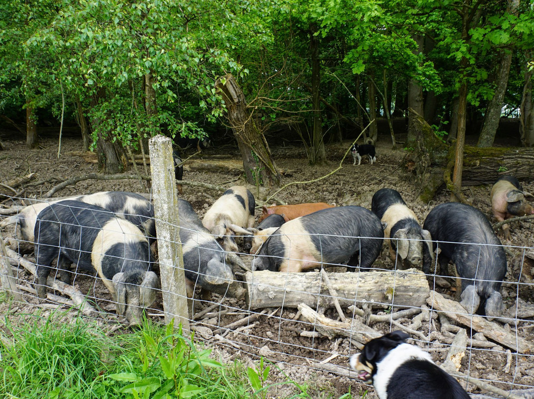 Traveling Spoon-Ticehurst必去景点