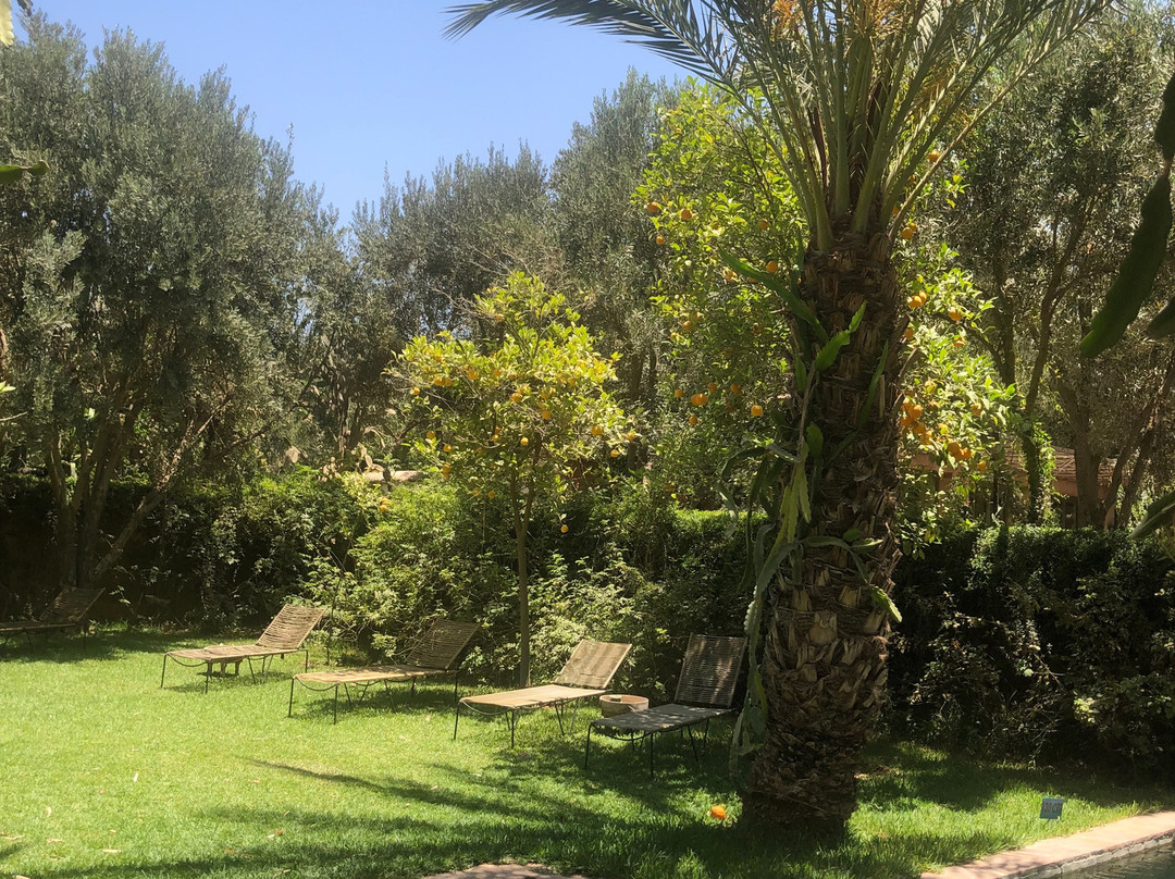 Dar al Hossoun主图