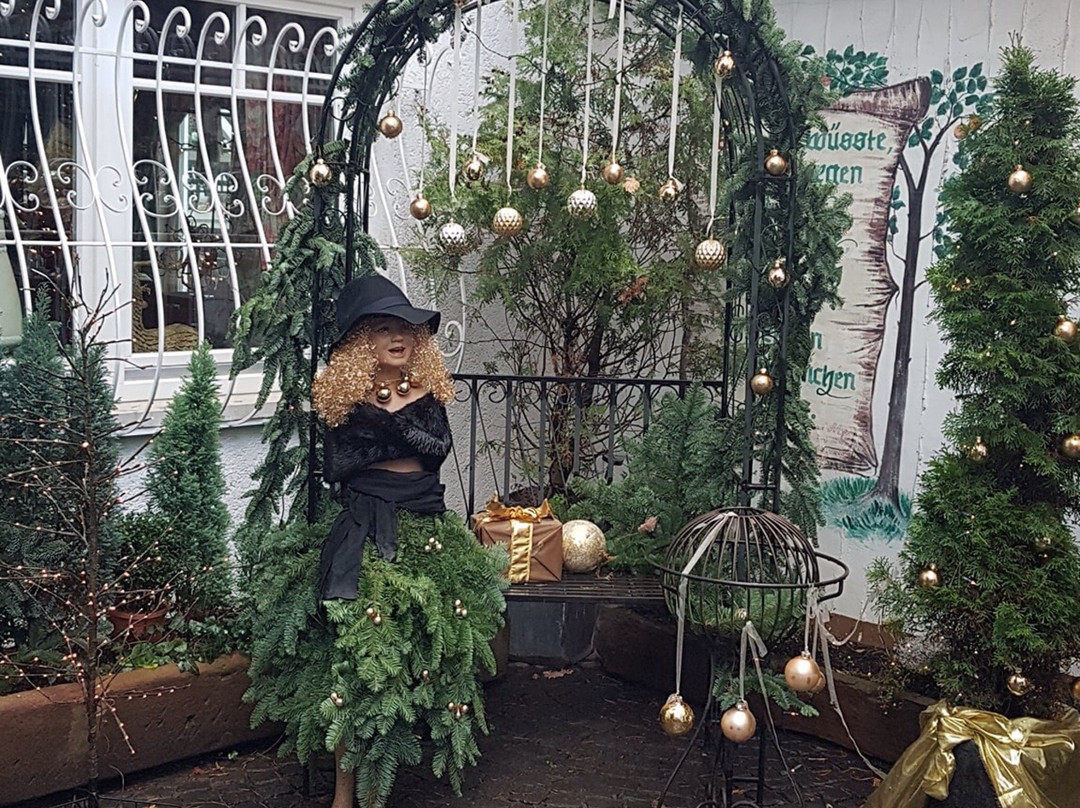 Landgasthof Alte Bergmuehle主图