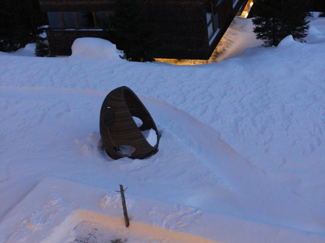 Gradonna Mountain Resort Chalets & Hotel主图