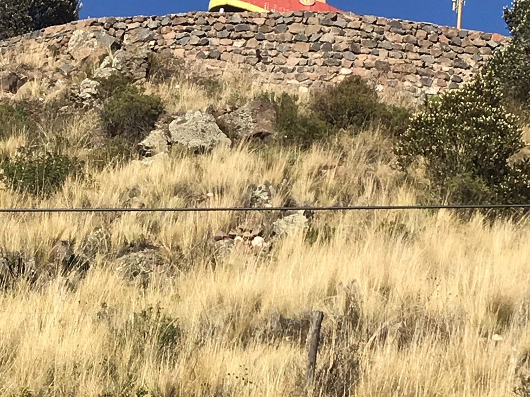 Mirador Puma Uta-普诺大区必去景点