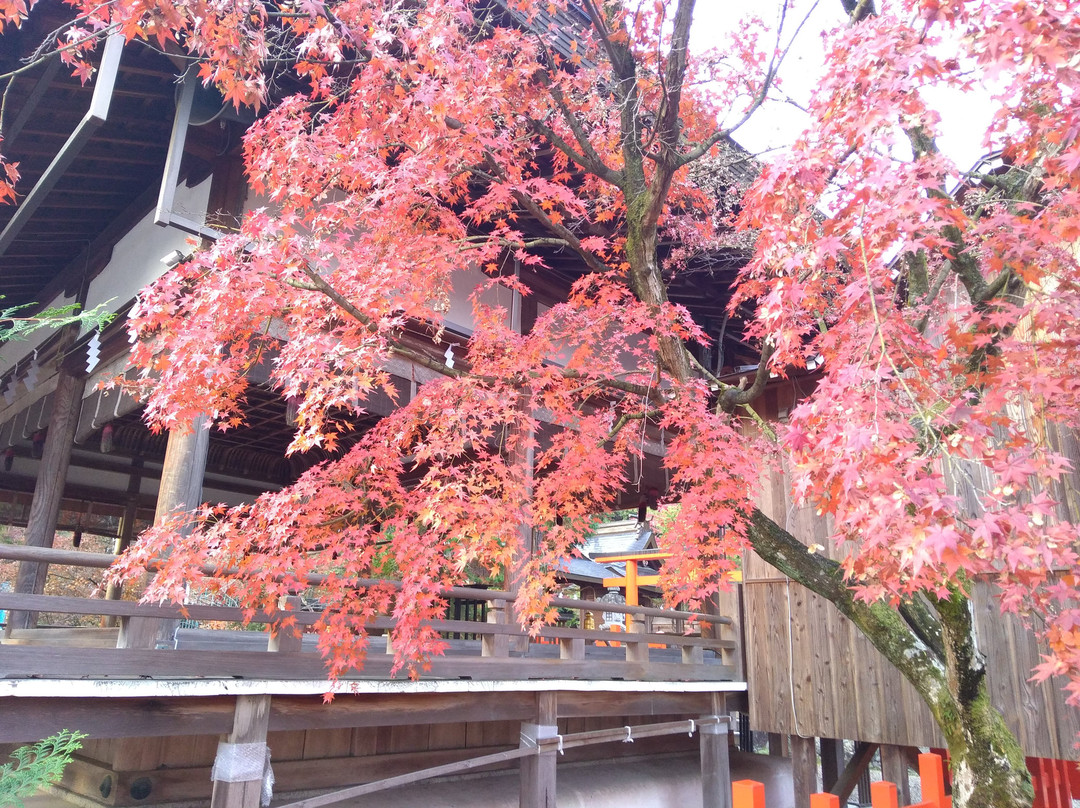 Tatsuta Taisha Shrine景点图片