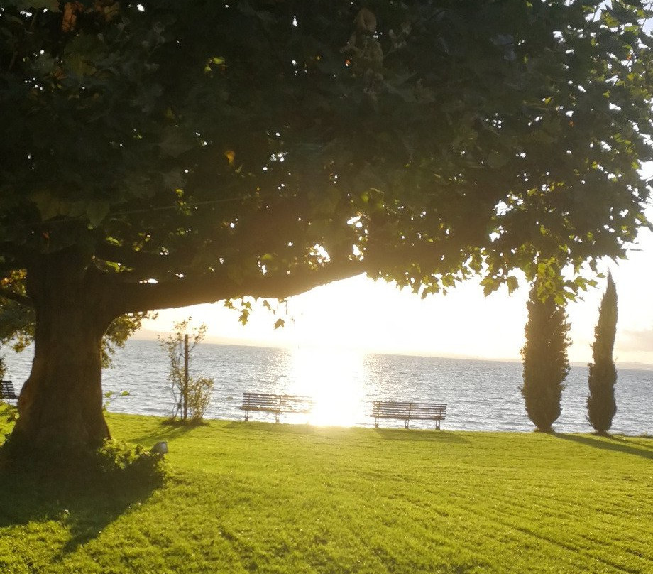 Hotel Haus am See主图