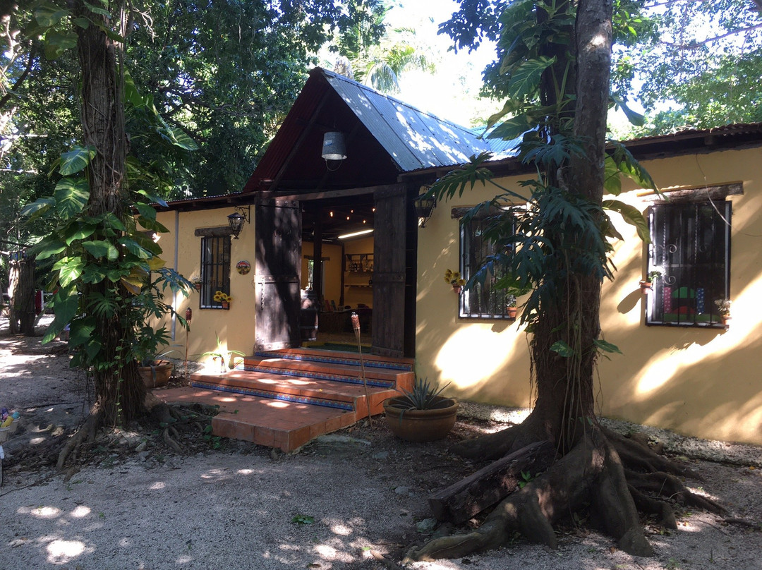 Tequila Factory Cancun and Villas-从莫雷洛斯港必去景点