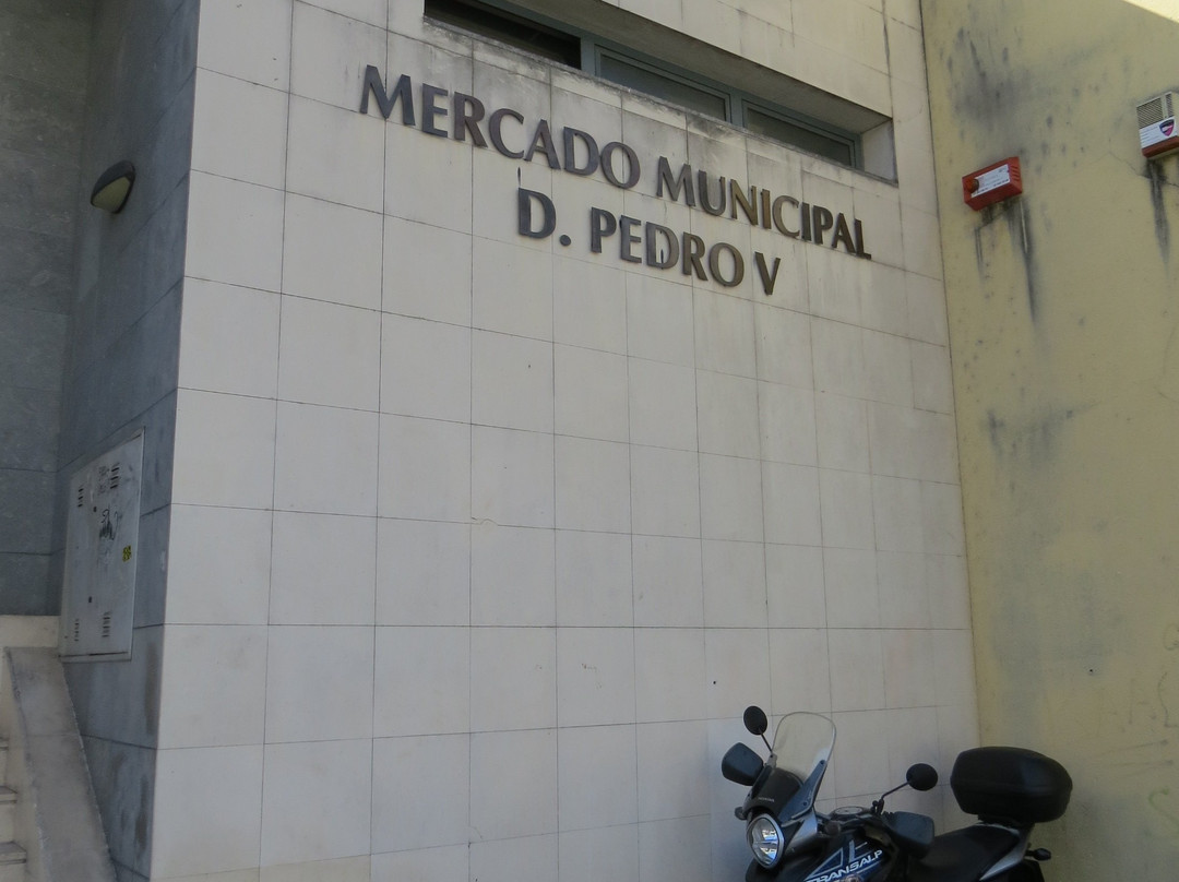 Mercado Municipal D. Pedro V景点图片