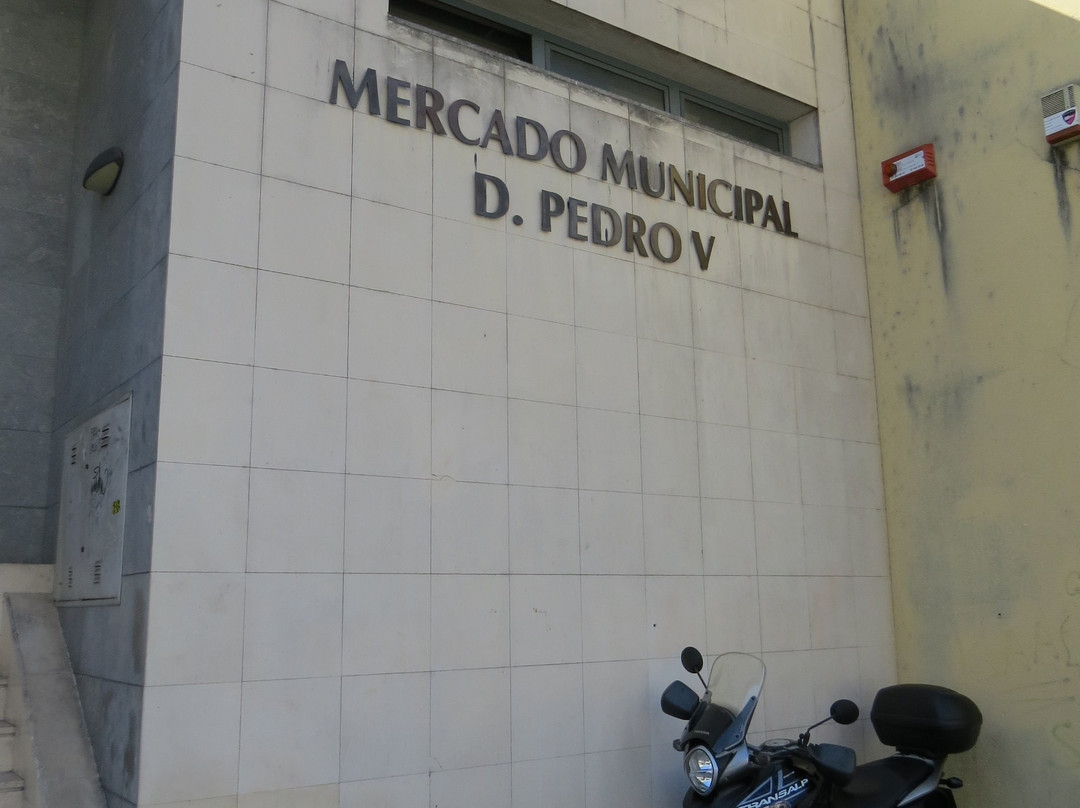 Mercado Municipal D. Pedro V-科英布拉区必去景点