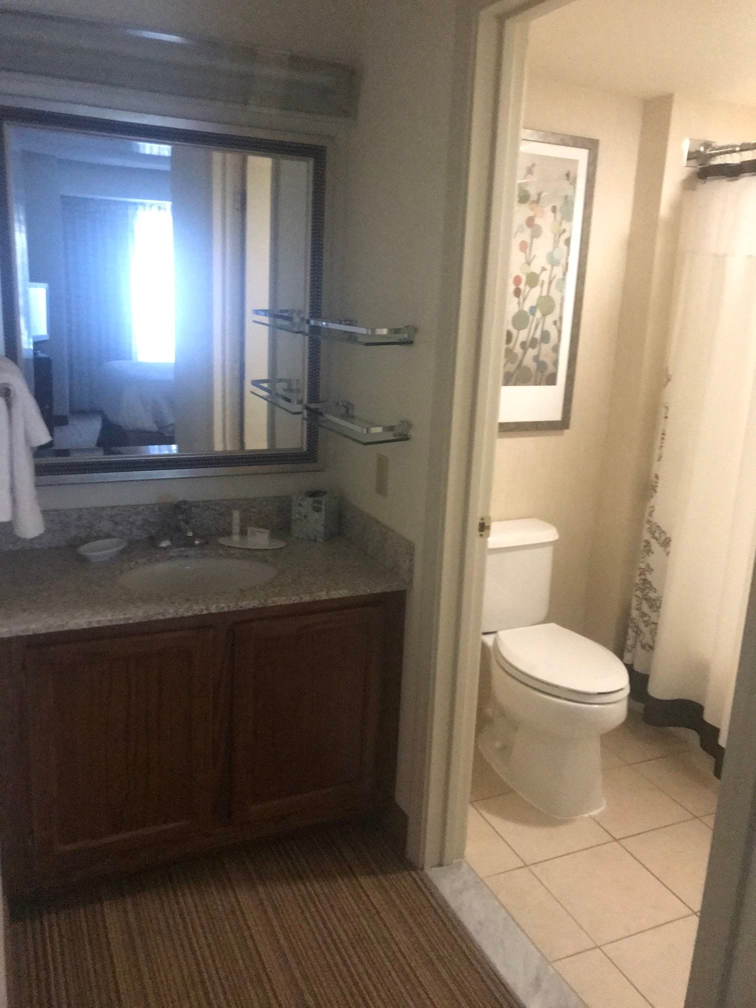 Sonesta ES Suites Charlottesville University-浴室