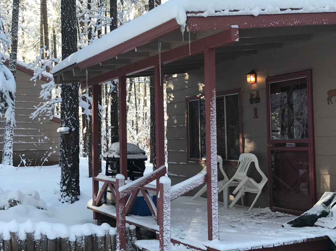 Northwoods Cabins主图