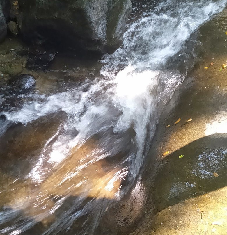 Vanaparvam Biodiversity Park-Kakkavayal必去景点