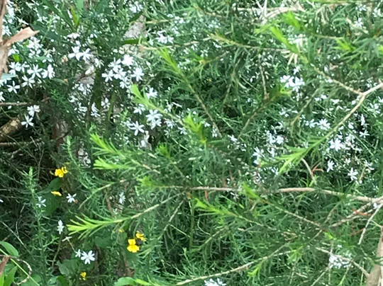 Port Franklin Boardwalk-Port Franklin必去景点