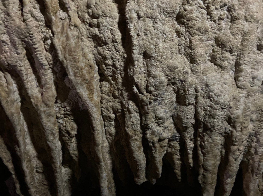 Limestone Cave Baratang-Baratang Island必去景点