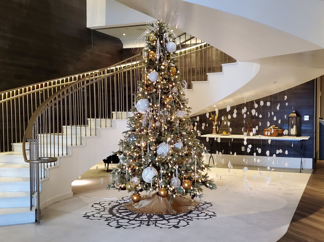 The Elizabeth Hotel, Autograph Collection主图