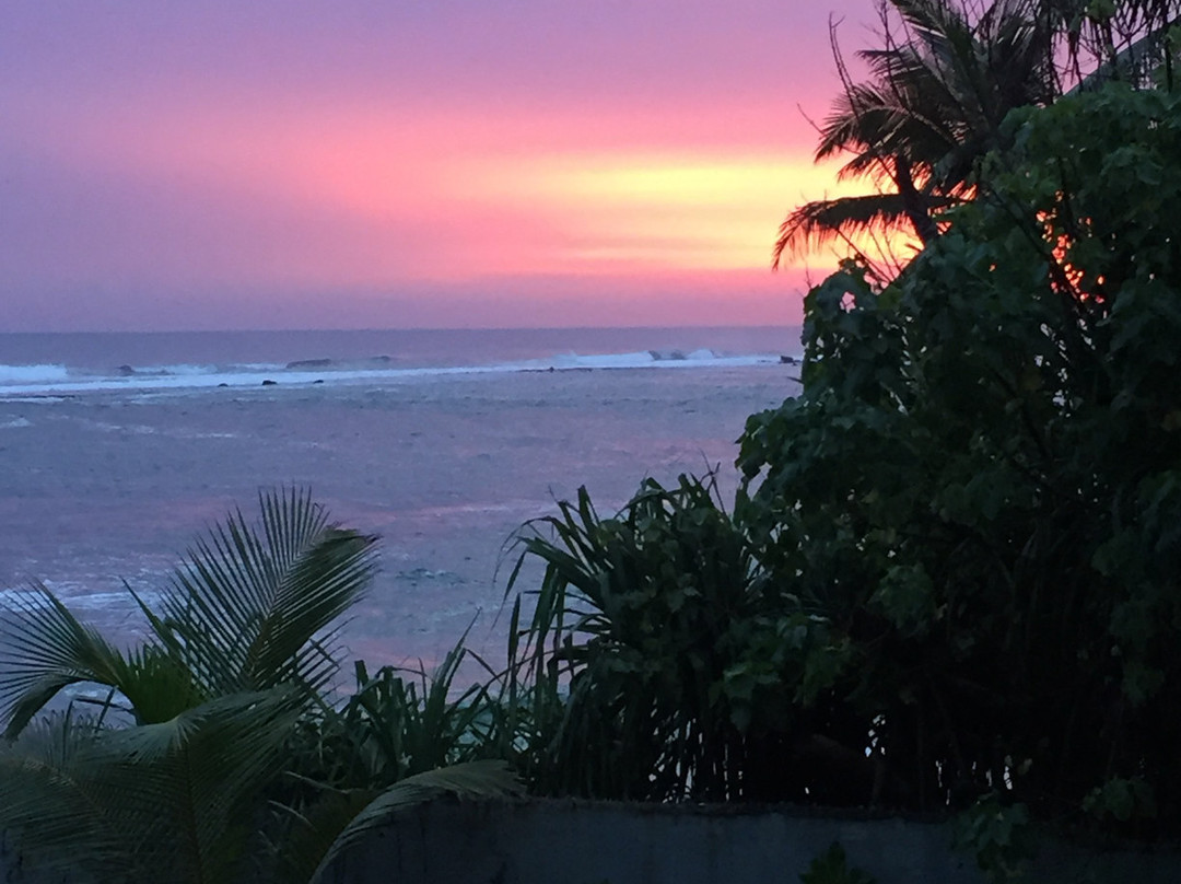 哈密瓜水族主图