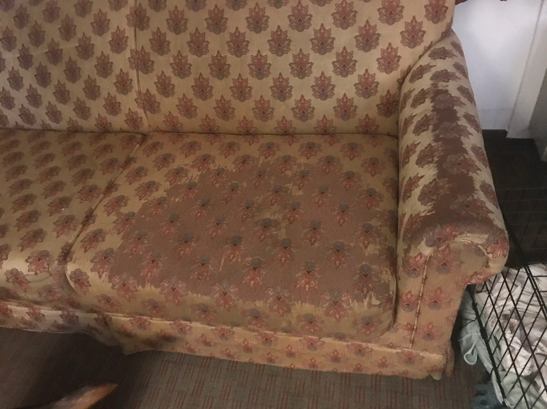 Days Inn & Suites by Wyndham Brinkley主图