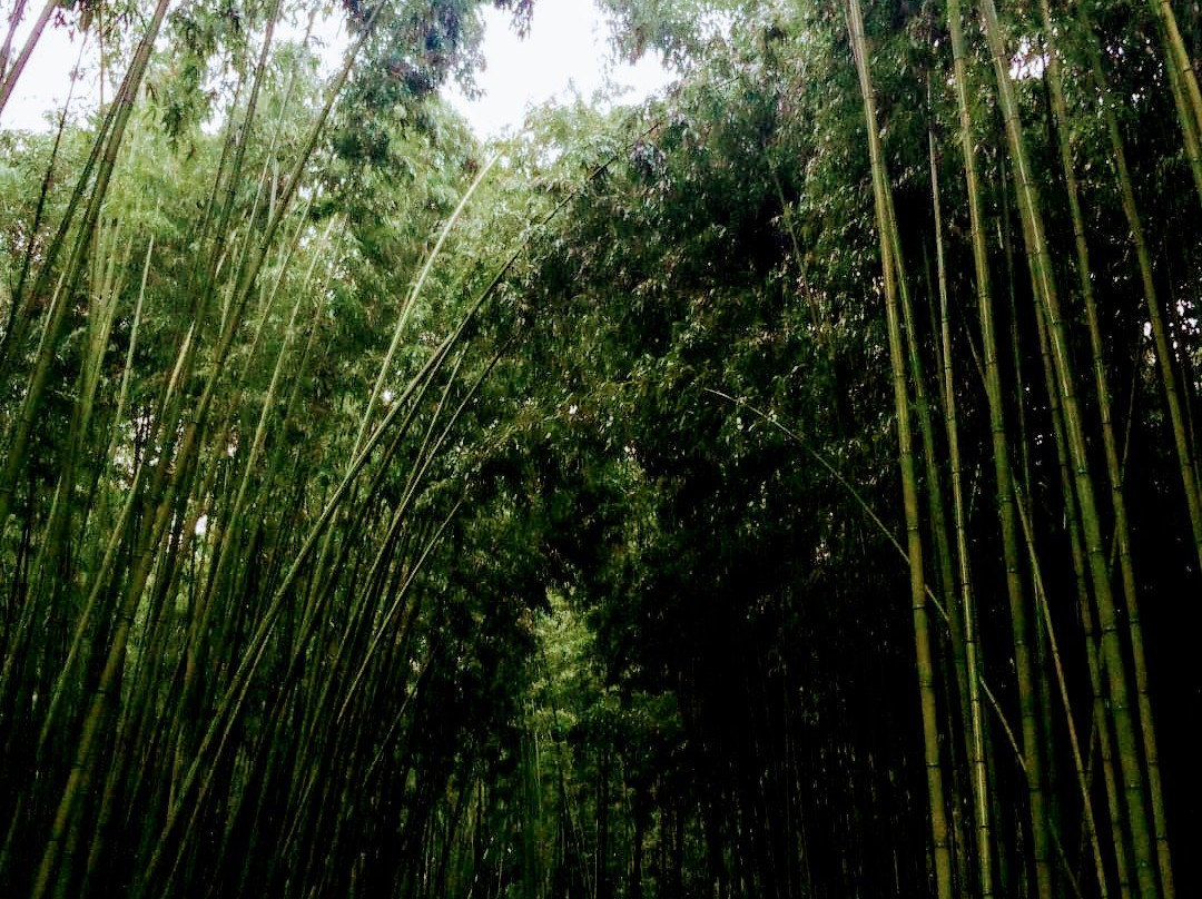 Ulsan Grand Park-蔚山必去景点