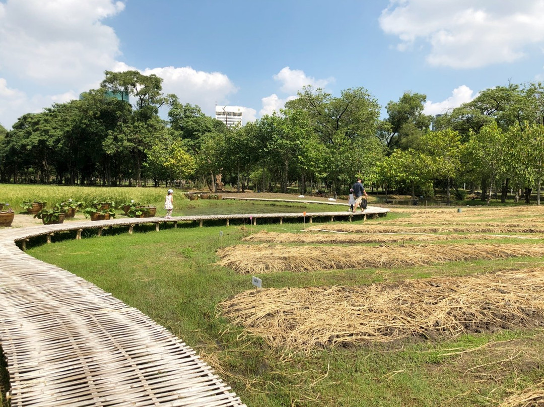 Bangkok Butterfly Garden and Insectarium景点图片