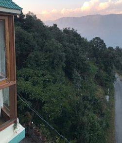 The Kumaon Exotica-酒店景观
