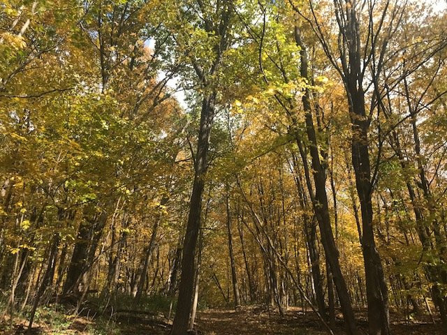Baker Park Reserve-Maple Plain必去景点