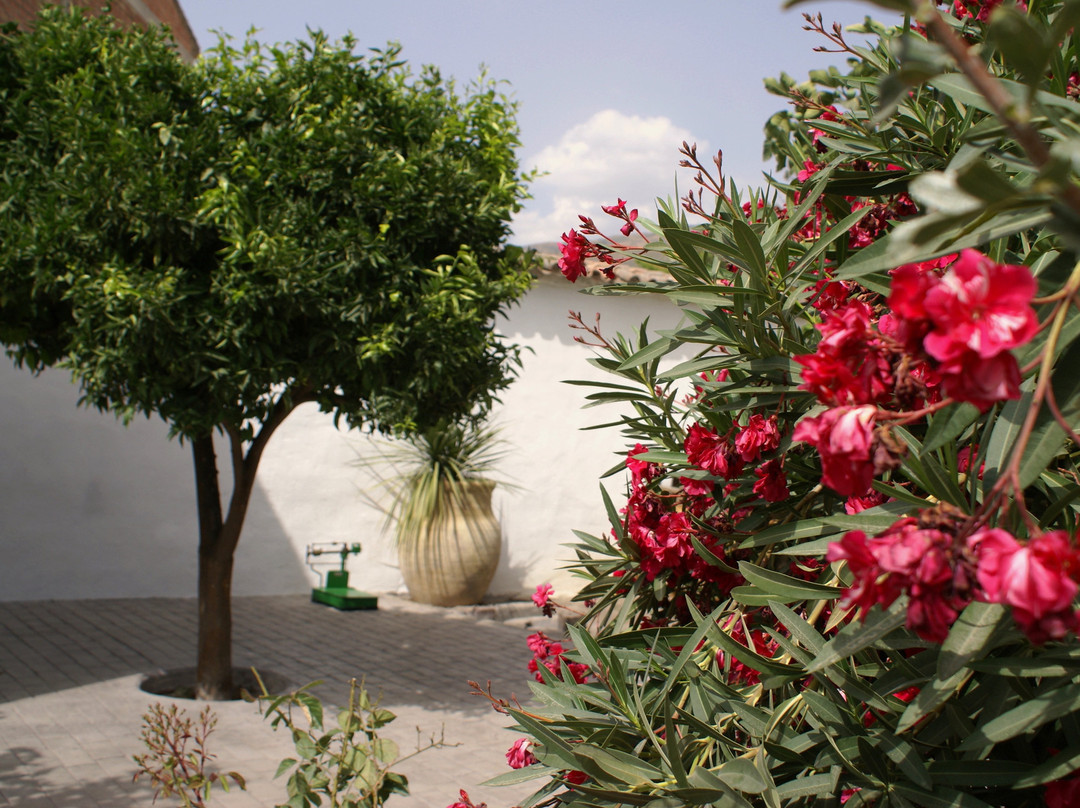 Finca La Cañota主图