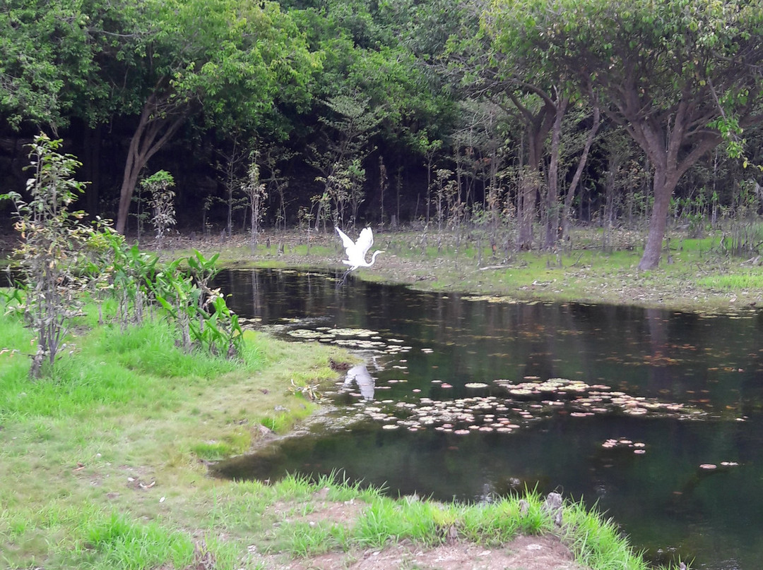 Praia de Aramanai-Belterra必去景点
