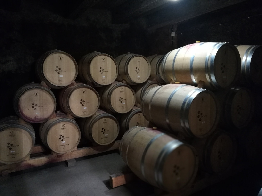 Bodega Cuatro Pasos-Cacabelos必去景点