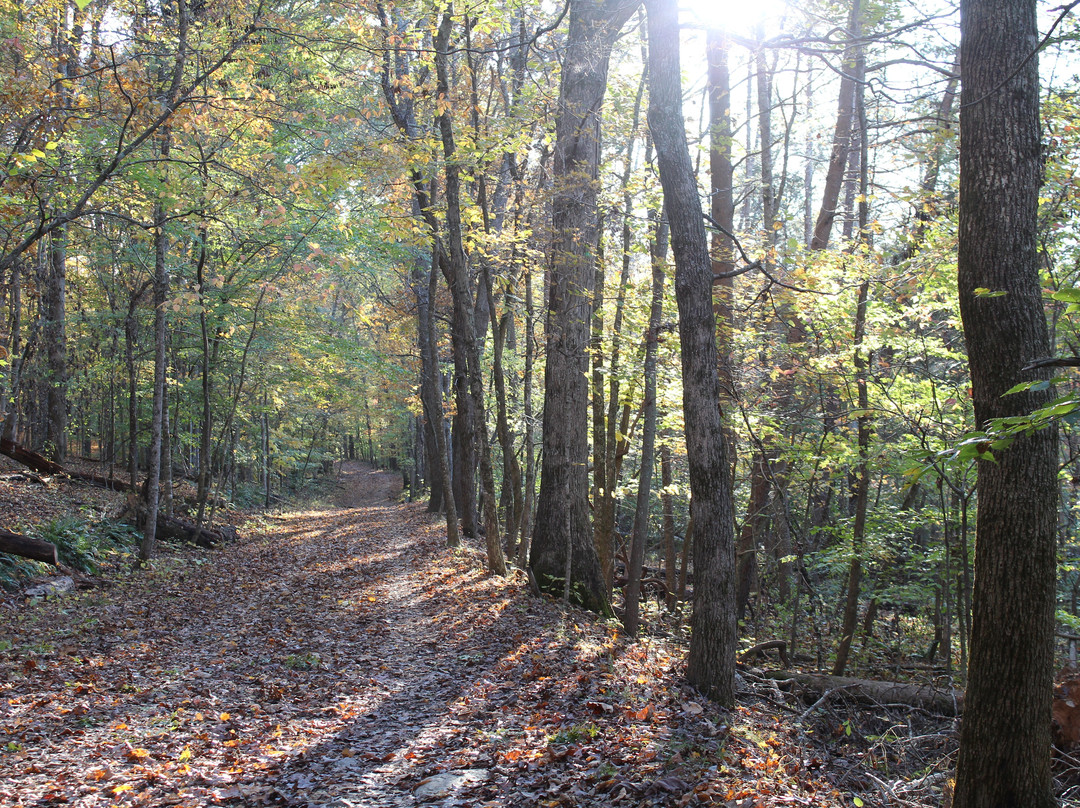 Panther Creek State Park景点图片